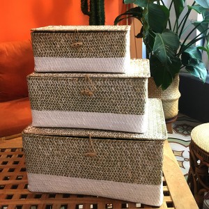 Pudełko utkane wodorostów z zakrytym magazynem